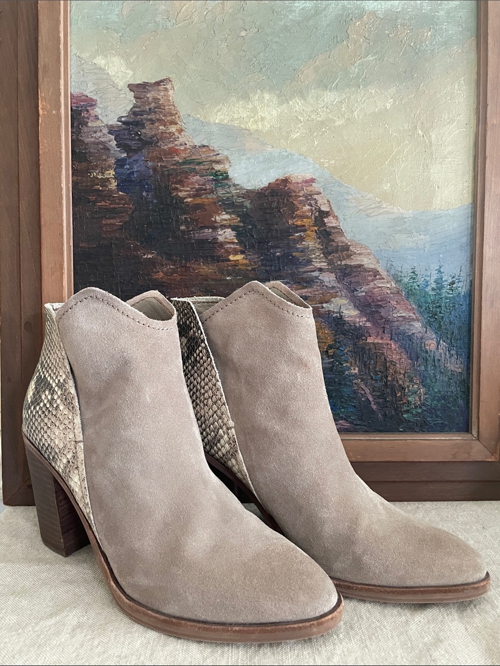 Dolce Vita Taupe Suede Ankle Boots with Snake-Print Accent size 9